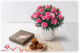 彩のジェラート"CUBE"をご堪能ください。